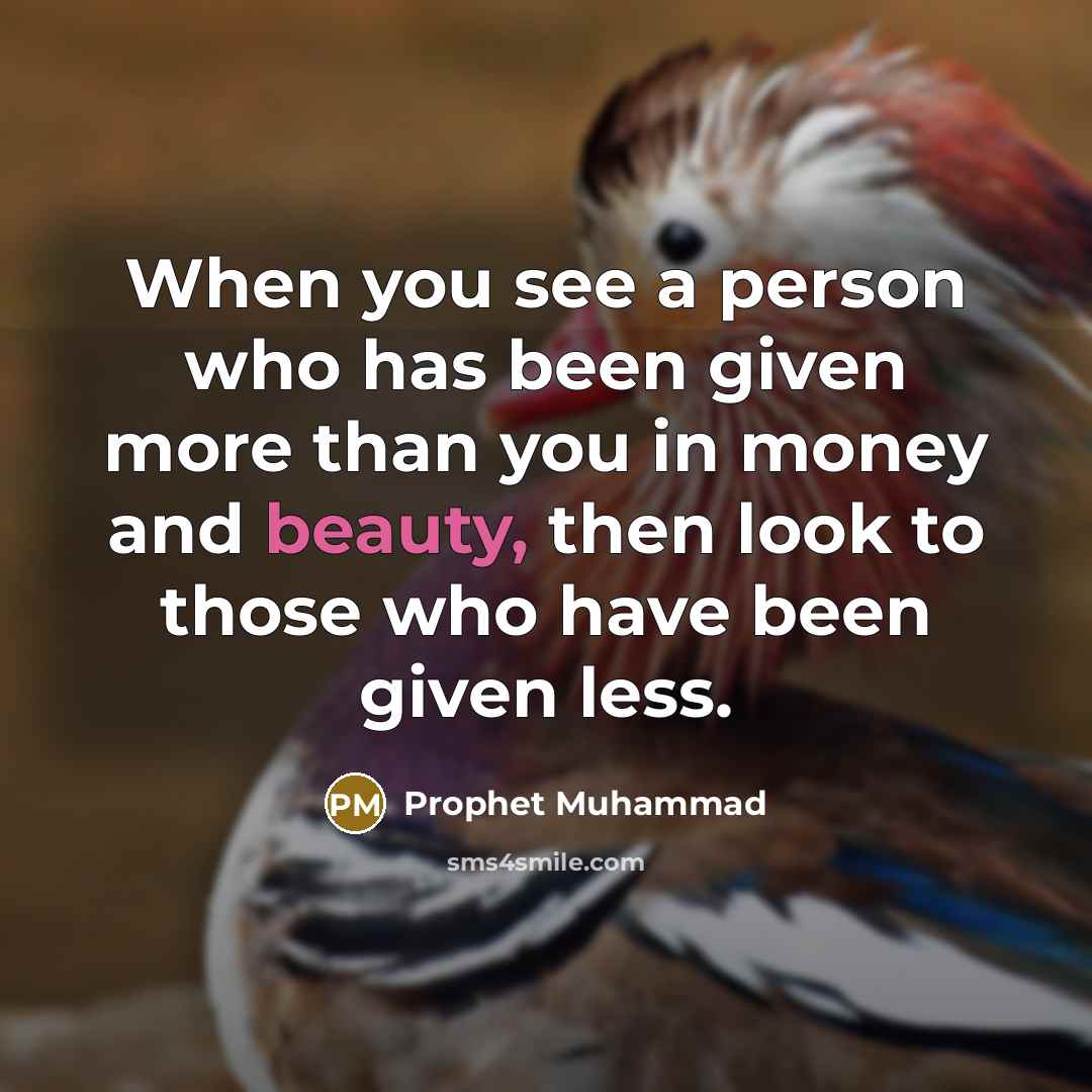 “When you see a person who has been given more than you in money and beauty, then look to those who have been given less.” quote by Prophet Muhammad