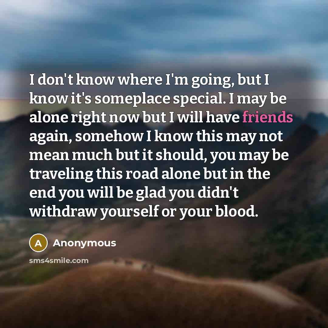 “I don't know where I'm going, but I know it's someplace special. I may be alone right now but I will have friends again, somehow I know this may not mean much but it should, you may be traveling this road alone but in the end you will be glad you didn't withdraw yourself or your blood.” quote by Anonymous