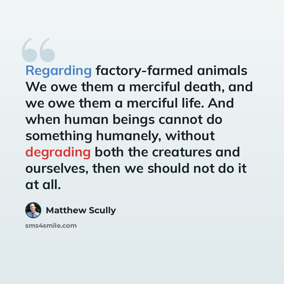 “Regarding factory-farmed animals We owe them a merciful death, and we owe them a merciful life. And when human beings cannot do something humanely, without degrading both the creatures and ourselves, then we should not do it at all.” quote by Matthew Scully