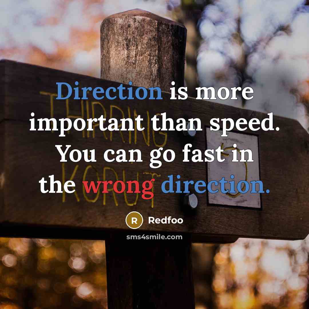 “Direction is more important than speed. You can go fast in the wrong direction.” quote by Redfoo