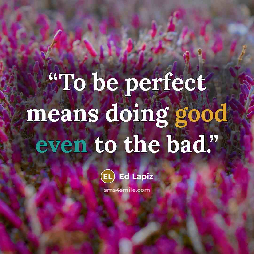 “To be perfect means doing good even to the bad.” quote by Ed Lapiz