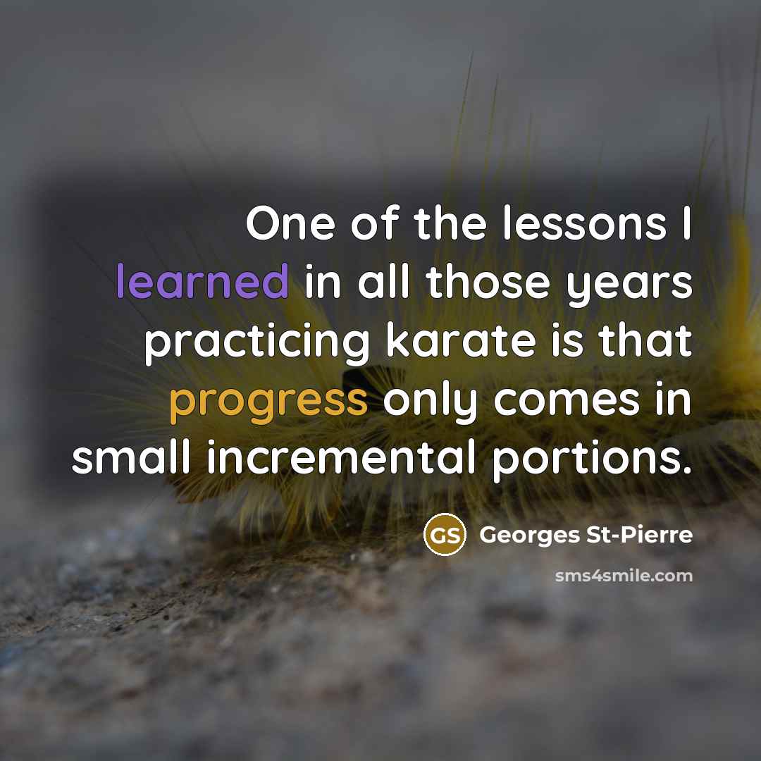 “One of the lessons I learned in all those years practicing karate is that progress only comes in small incremental portions.” quote by Georges St-Pierre