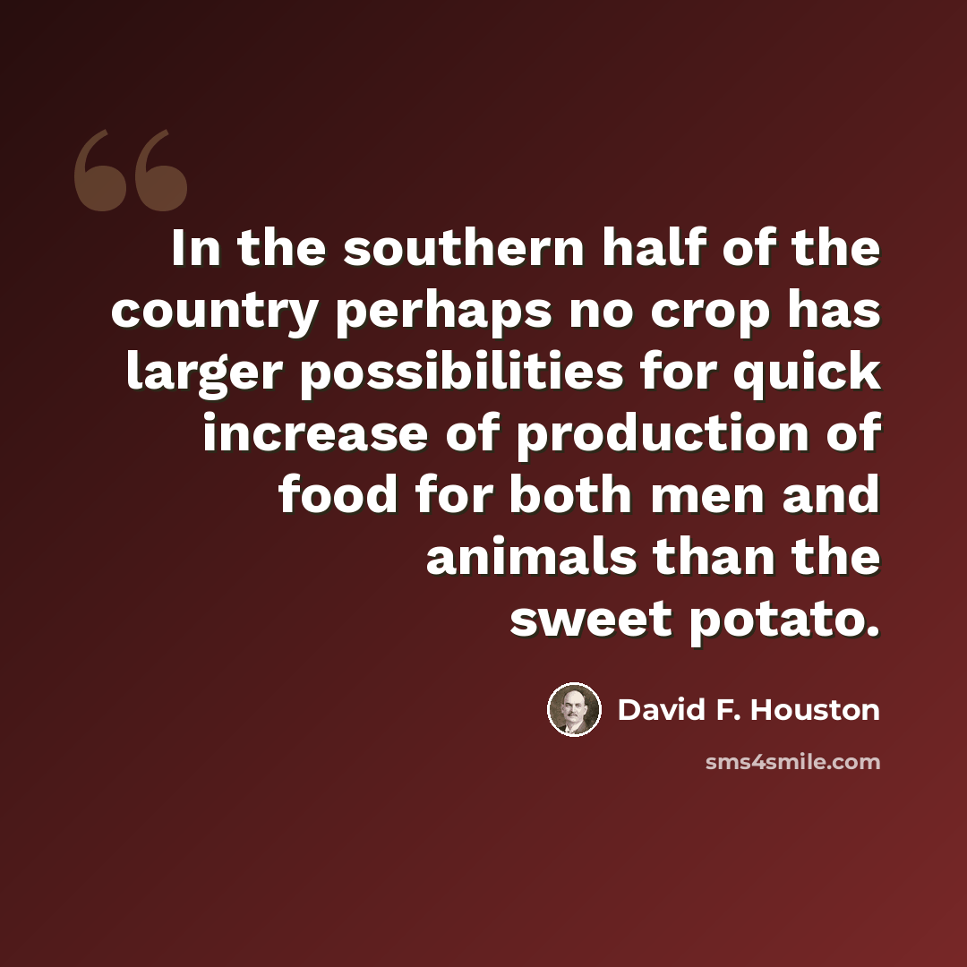 “In the southern half of the country perhaps no crop has larger possibilities for quick increase of production of food for both men and animals than the sweet potato.” quote by David F. Houston