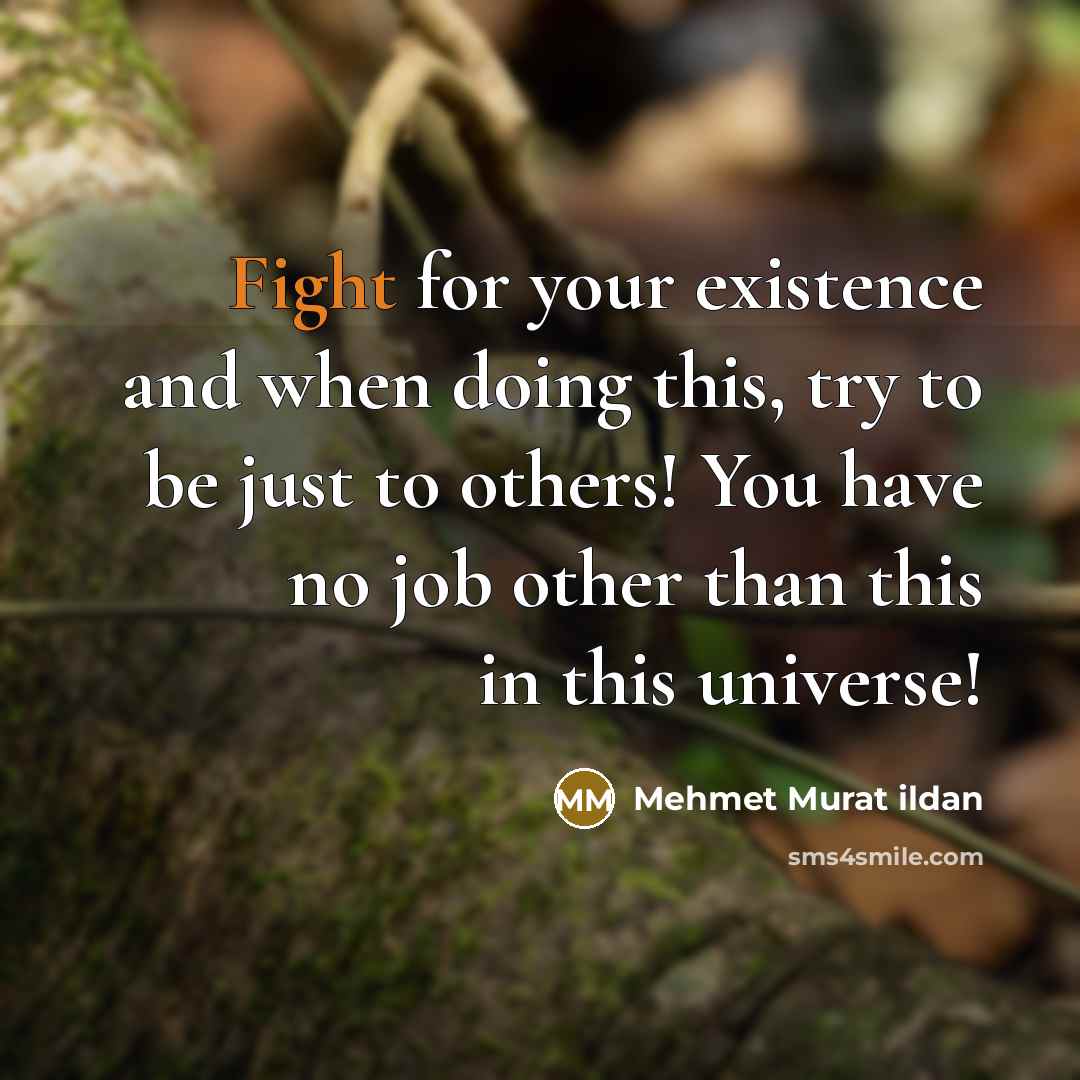 “Fight for your existence and when doing this, try to be just to others! You have no job other than this in this universe!” quote by Mehmet Murat Ildan