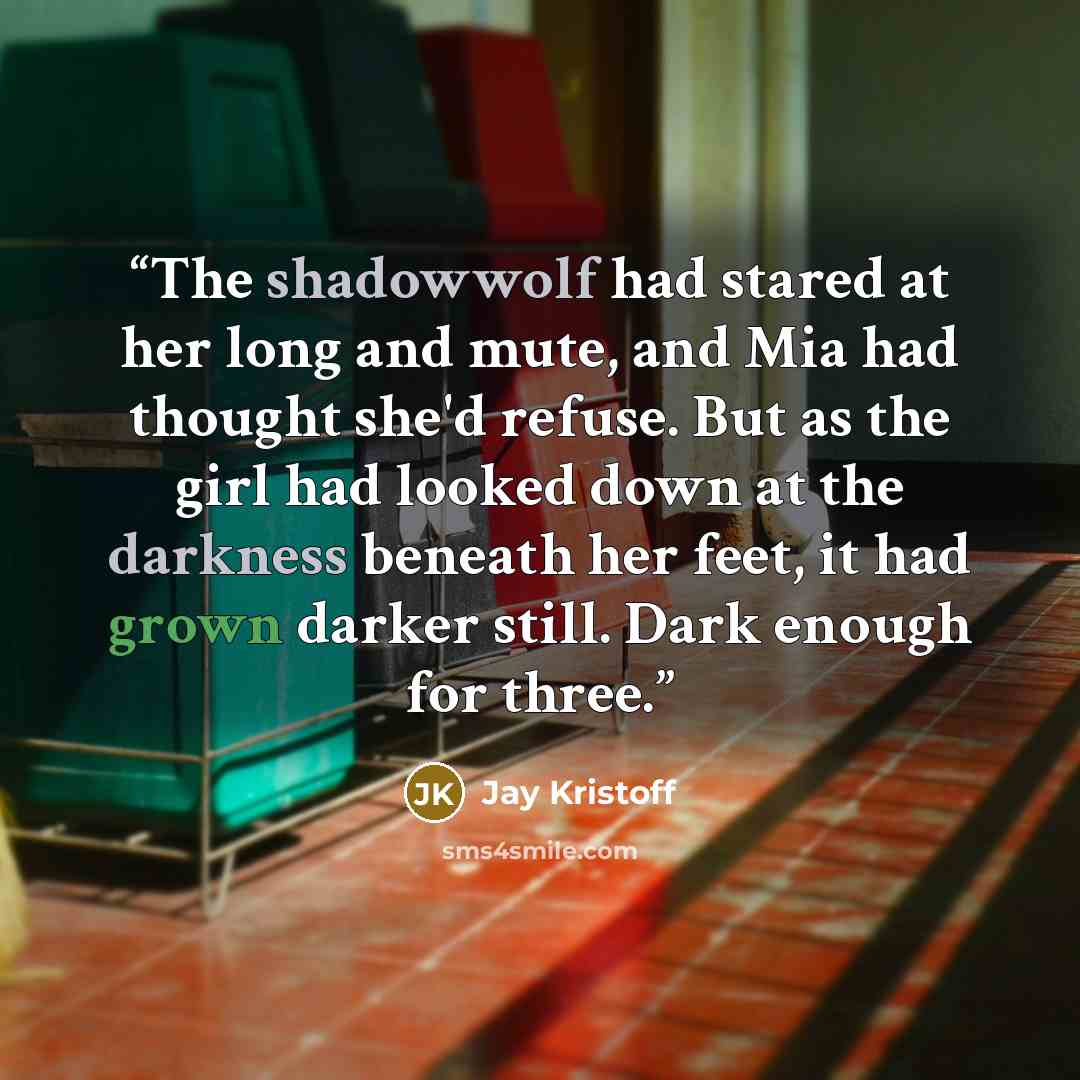 “The shadowwolf had stared at her long and mute, and Mia had thought she'd refuse. But as the girl had looked down at the darkness beneath her feet, it had grown darker still. Dark enough for three.” quote by Jay Kristoff