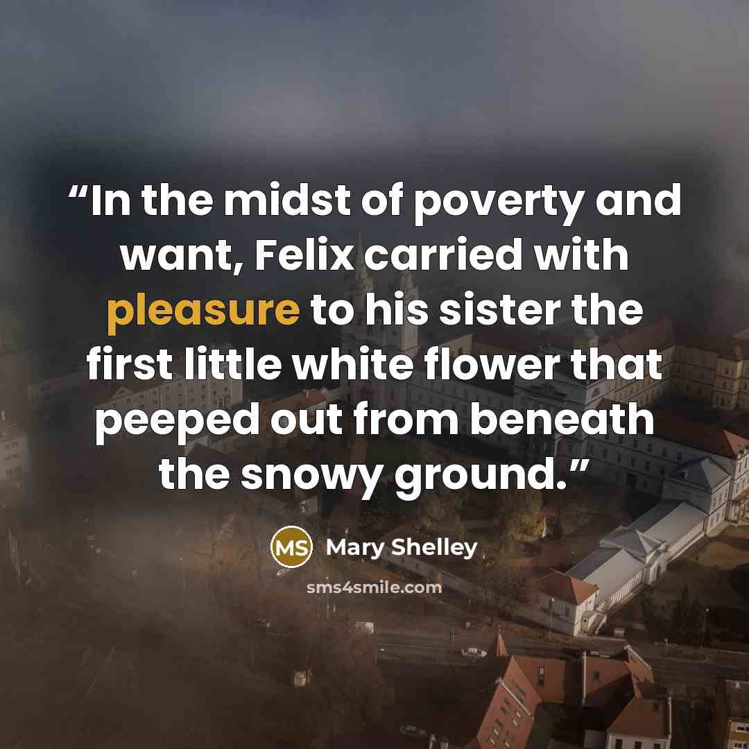 “In the midst of poverty and want, Felix carried with pleasure to his sister the first little white flower that peeped out from beneath the snowy ground.” quote by Mary Shelley