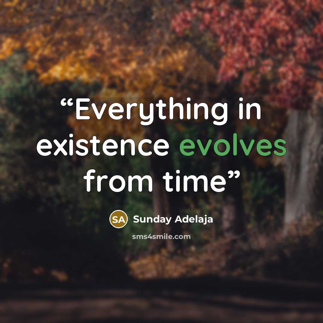 “Everything in existence evolves from time” quote by Sunday Adelaja