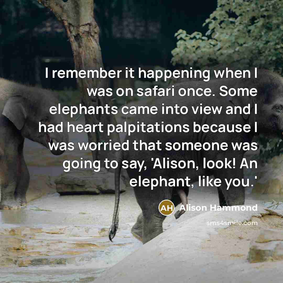 “I remember it happening when I was on safari once. Some elephants came into view and I had heart palpitations because I was worried that someone was going to say, 'Alison, look! An elephant, like you.'” quote by Alison Hammond