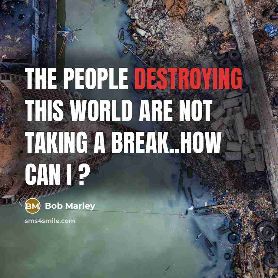 “The people destroying this world are not taking a break..How can I ?” quote by Bob Marley