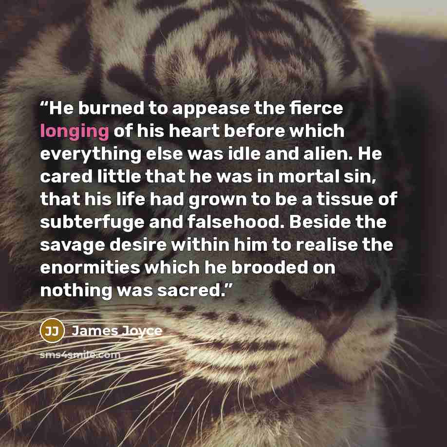 “He burned to appease the fierce longing of his heart before which everything else was idle and alien. He cared little that he was in mortal sin, that his life had grown to be a tissue of subterfuge and falsehood. Beside the savage desire within him to realise the enormities which he brooded on…” quote by James Joyce
