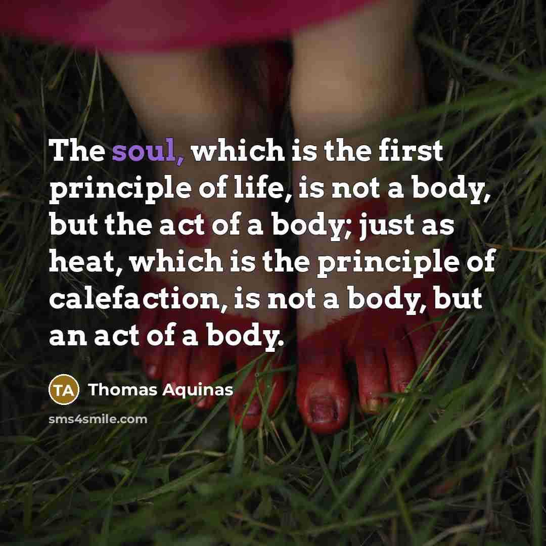 “The soul, which is the first principle of life, is not a body, but the act of a body; just as heat, which is the principle of calefaction, is not a body, but an act of a body.” quote by Thomas Aquinas