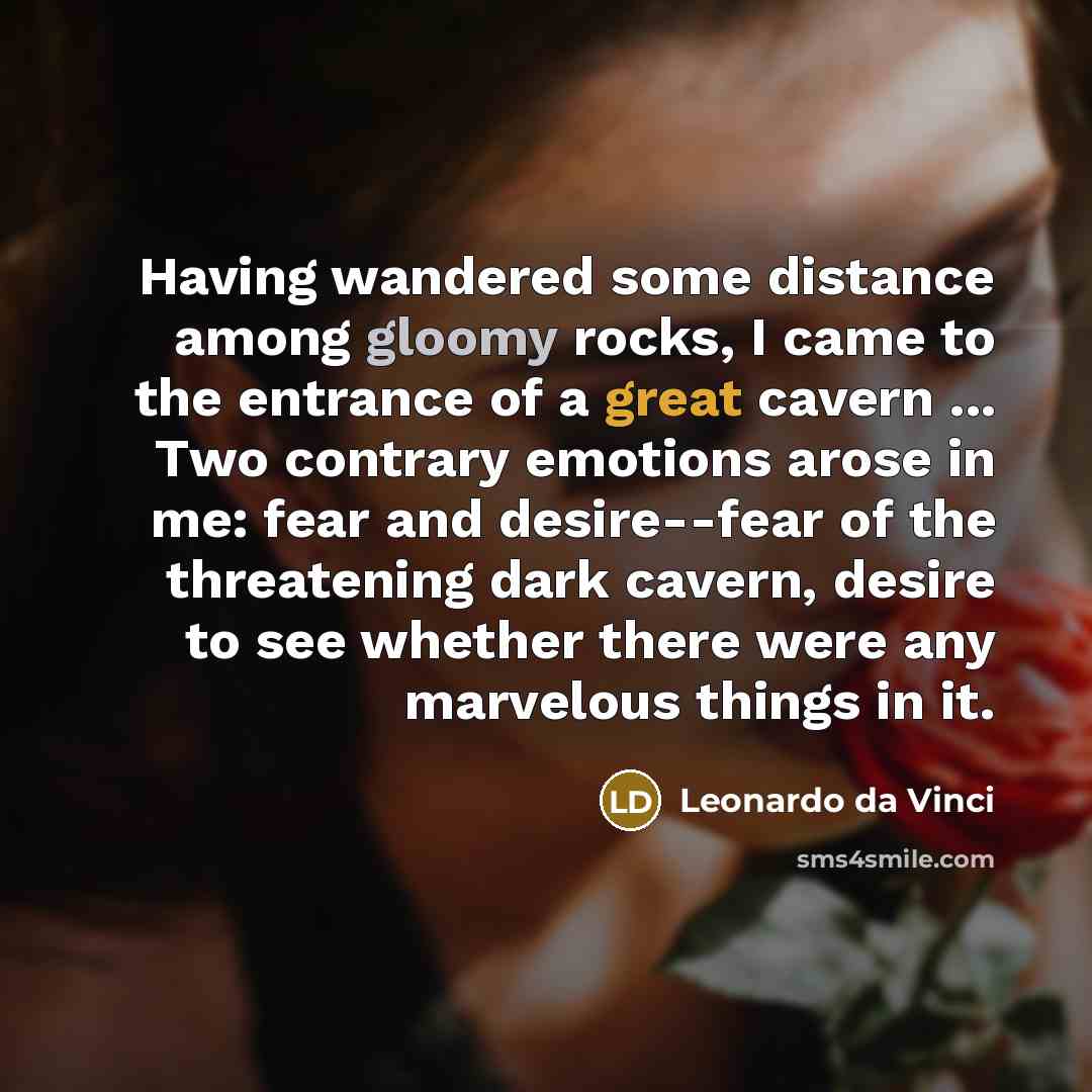 “Having wandered some distance among gloomy rocks, I came to the entrance of a great cavern ... Two contrary emotions arose in me: fear and desire--fear of the threatening dark cavern, desire to see whether there were any marvelous things in it.” quote by Leonardo da Vinci