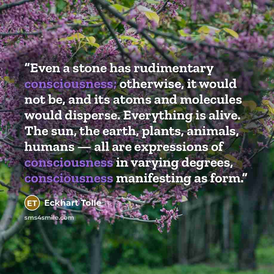 “Even a stone has rudimentary consciousness; otherwise, it would not be, and its atoms and molecules would disperse. Everything is alive. The sun, the earth, plants, animals, humans — all are expressions of consciousness in varying degrees, consciousness manifesting as form.” quote by Eckhart Tolle