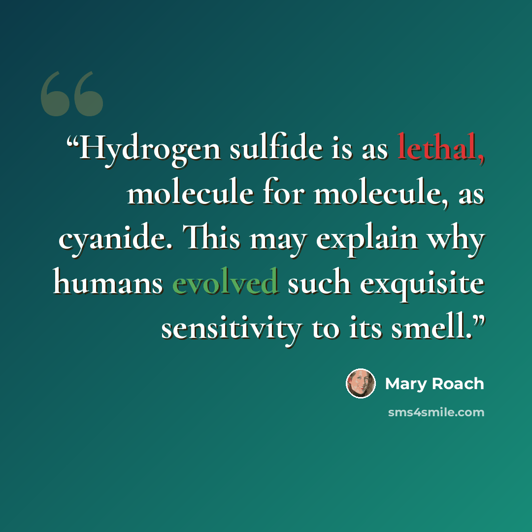 “Hydrogen sulfide is as lethal, molecule for molecule, as cyanide. This may explain why humans evolved such exquisite sensitivity to its smell.” quote by Mary Roach