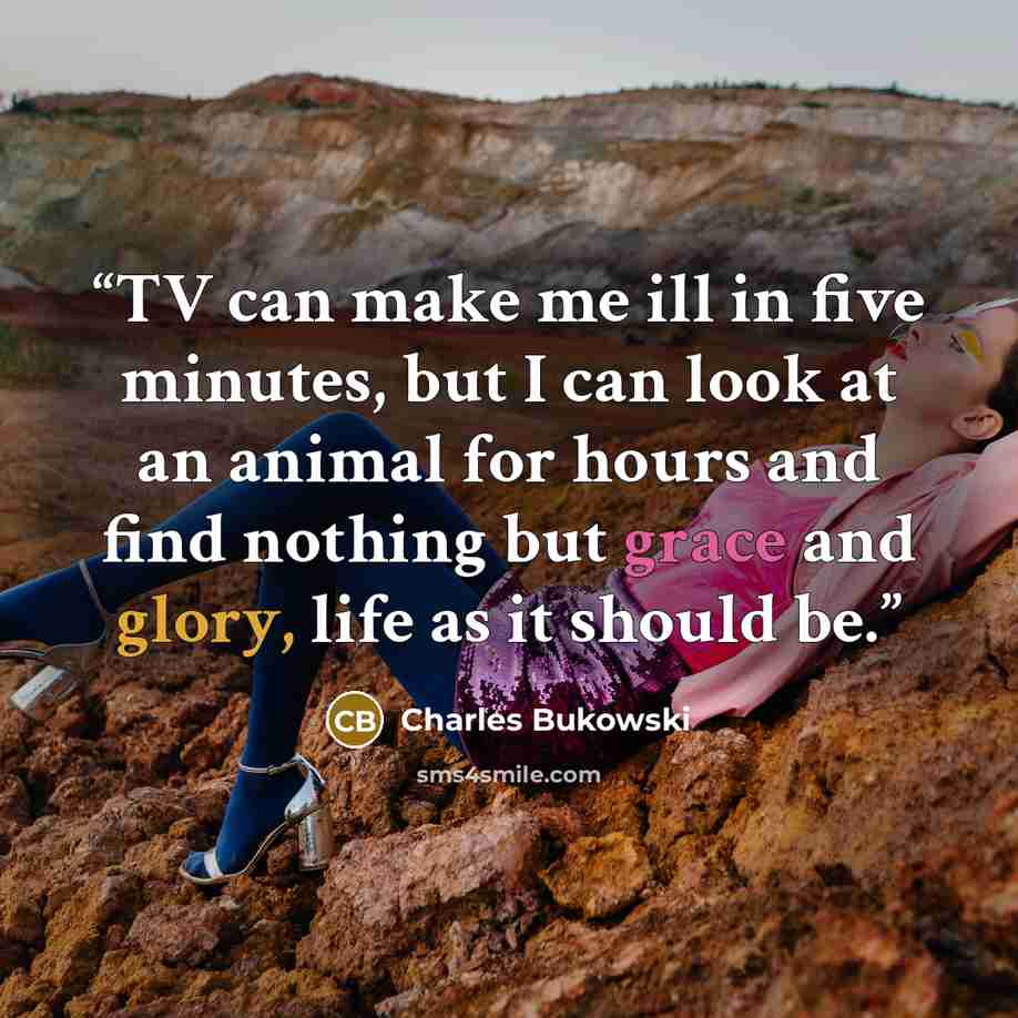 “TV can make me ill in five minutes, but I can look at an animal for hours and find nothing but grace and glory, life as it should be.” quote by Charles Bukowski