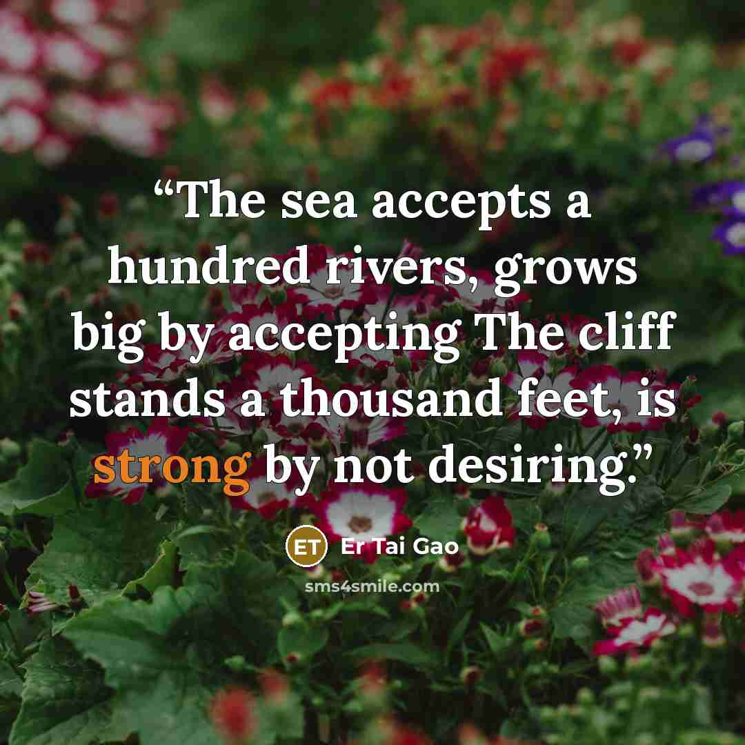 “The sea accepts a hundred rivers, grows big by accepting The cliff stands a thousand feet, is strong by not desiring.” quote by Er Tai Gao