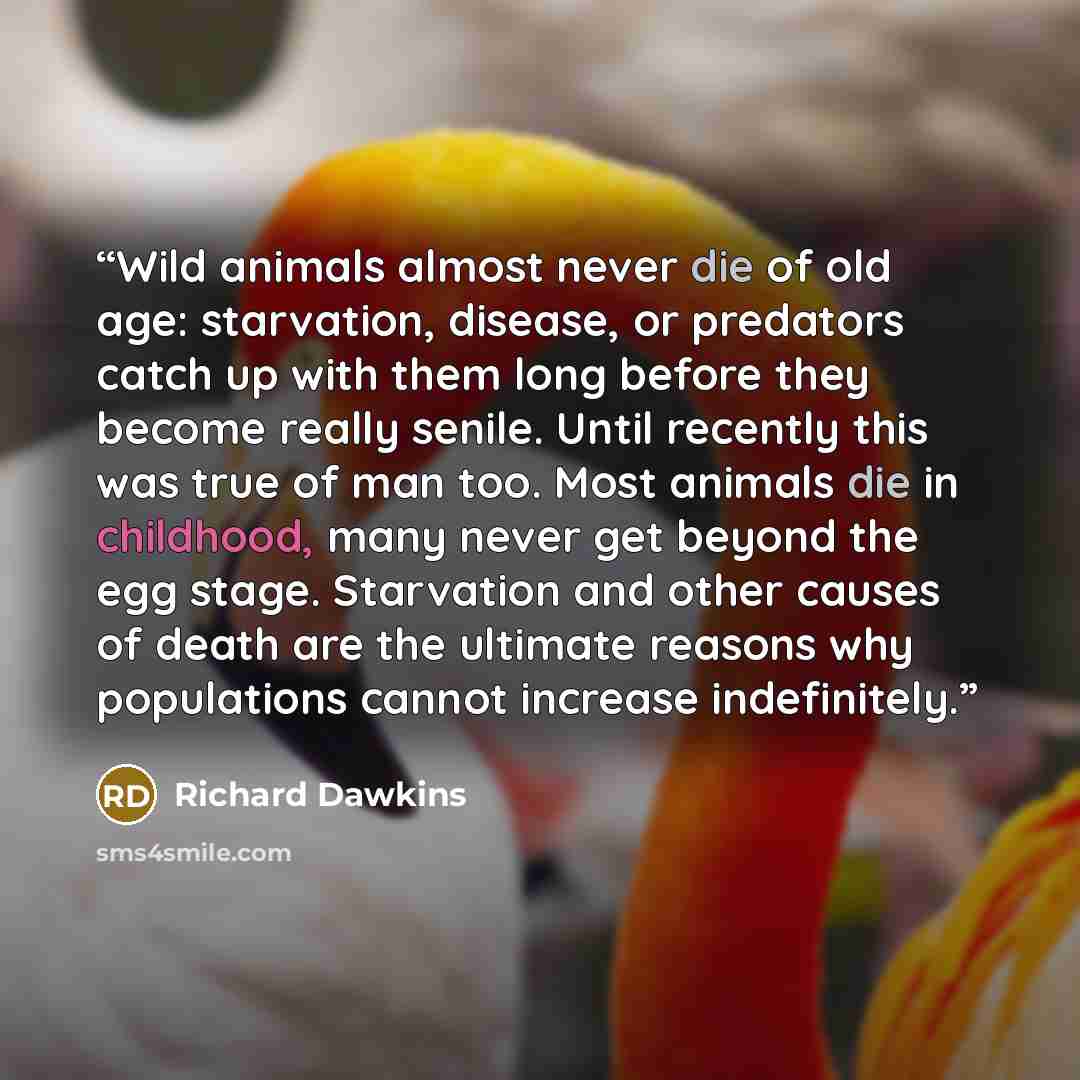 “Wild animals almost never die of old age: starvation, disease, or predators catch up with them long before they become really senile. Until recently this was true of man too. Most animals die in childhood, many never get beyond the egg stage. Starvation and other causes of death are the ultimate…” quote by Richard Dawkins