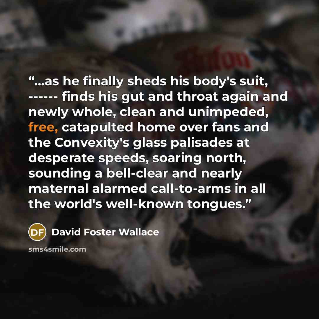 “...as he finally sheds his body's suit, ------ finds his gut and throat again and newly whole, clean and unimpeded, free, catapulted home over fans and the Convexity's glass palisades at desperate speeds, soaring north, sounding a bell-clear and nearly maternal alarmed call-to-arms in all the…” quote by David Foster Wallace