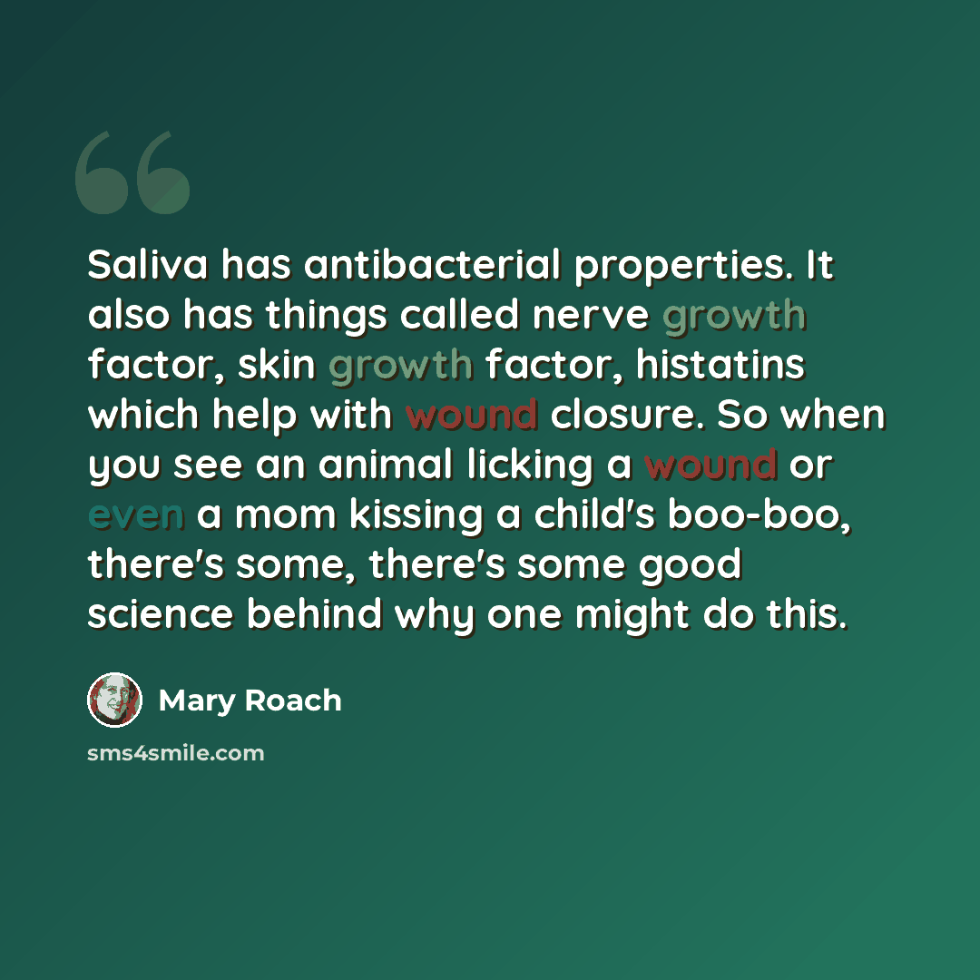 “Saliva has antibacterial properties. It also has things called nerve growth factor, skin growth factor, histatins which help with wound closure. So when you see an animal licking a wound or even a mom kissing a child's boo-boo, there's some, there's some good science behind why one might do this.” quote by Mary Roach