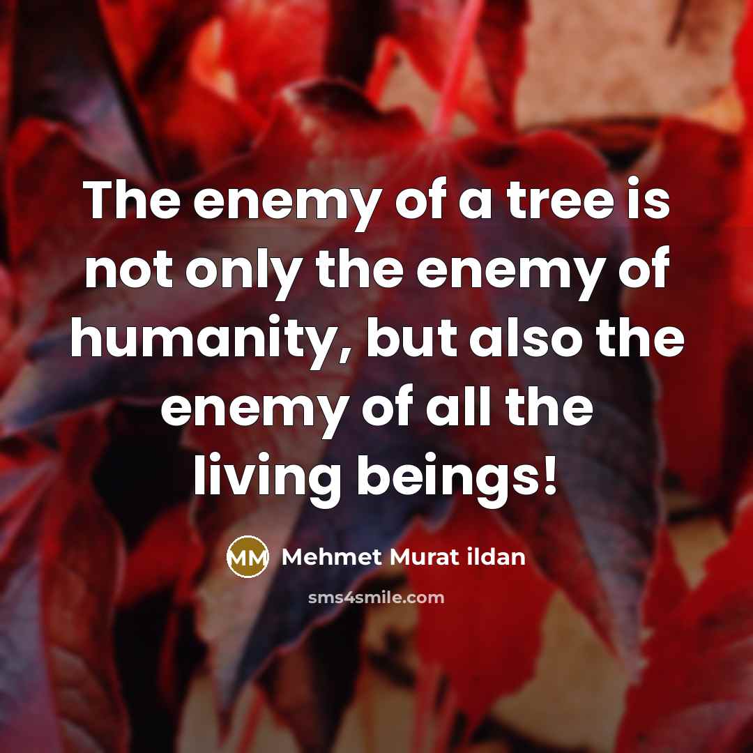 “The enemy of a tree is not only the enemy of humanity, but also the enemy of all the living beings!” quote by Mehmet Murat Ildan