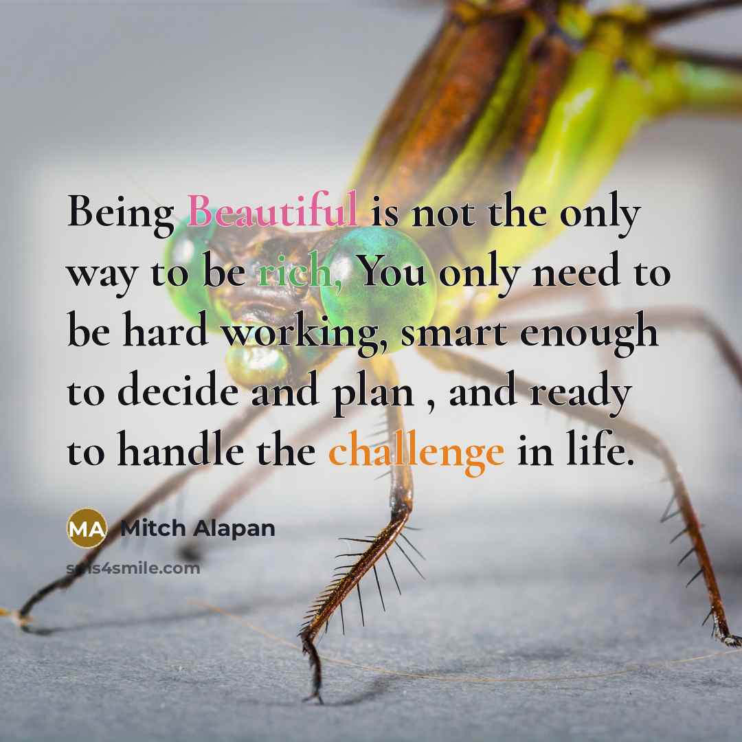 “Being Beautiful is not the only way to be rich, You only need to be hard working, smart enough to decide and plan , and ready to handle the challenge in life.” quote by Mitch Alapan