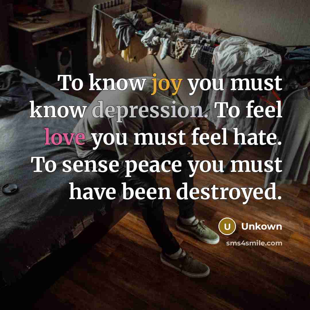 “To know joy you must know depression. To feel love you must feel hate. To sense peace you must have been destroyed.” quote by Unkown