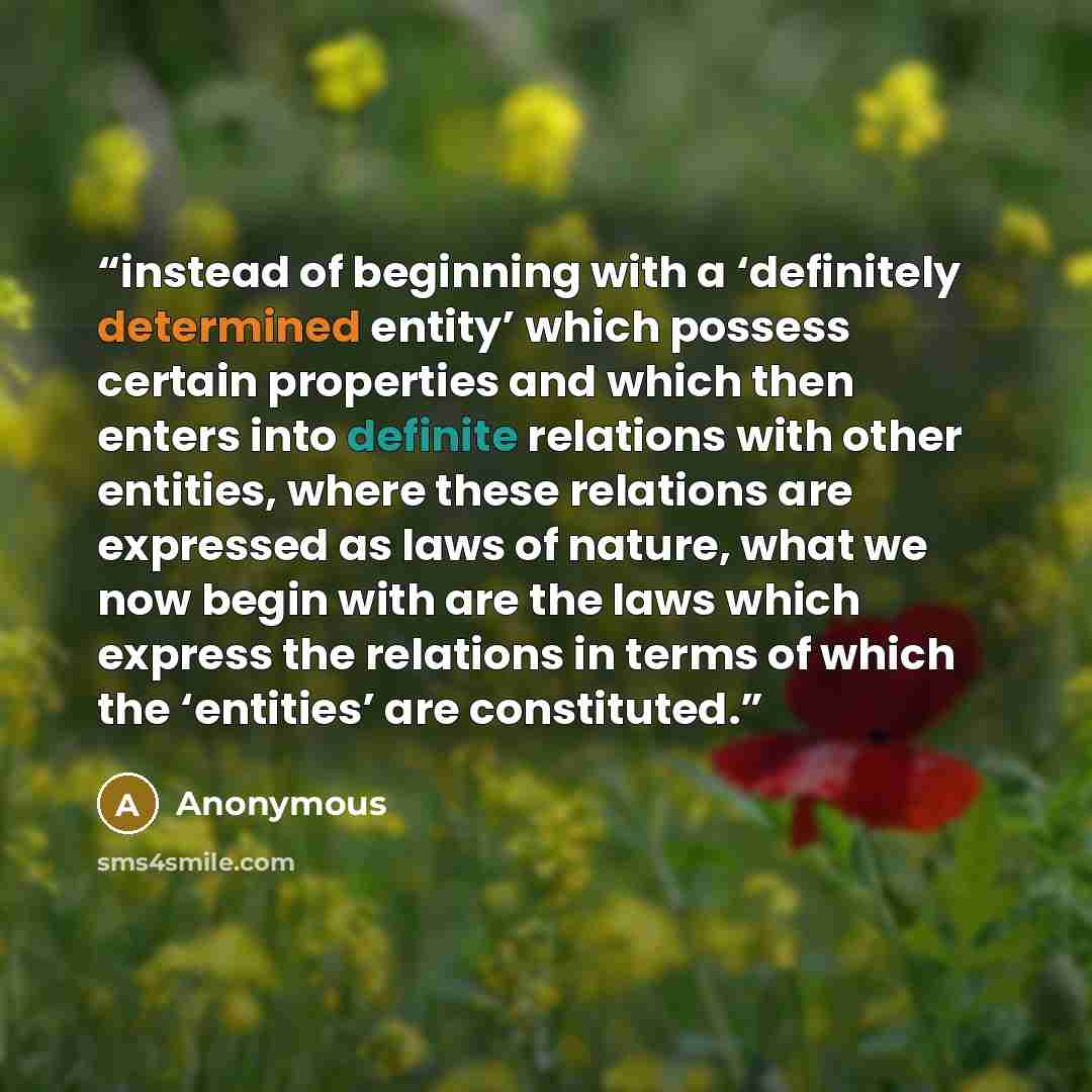 “instead of beginning with a ‘definitely determined entity’ which possess certain properties and which then enters into definite relations with other entities, where these relations are expressed as laws of nature, what we now begin with are the laws which express the relations in terms of which…” quote by Anonymous