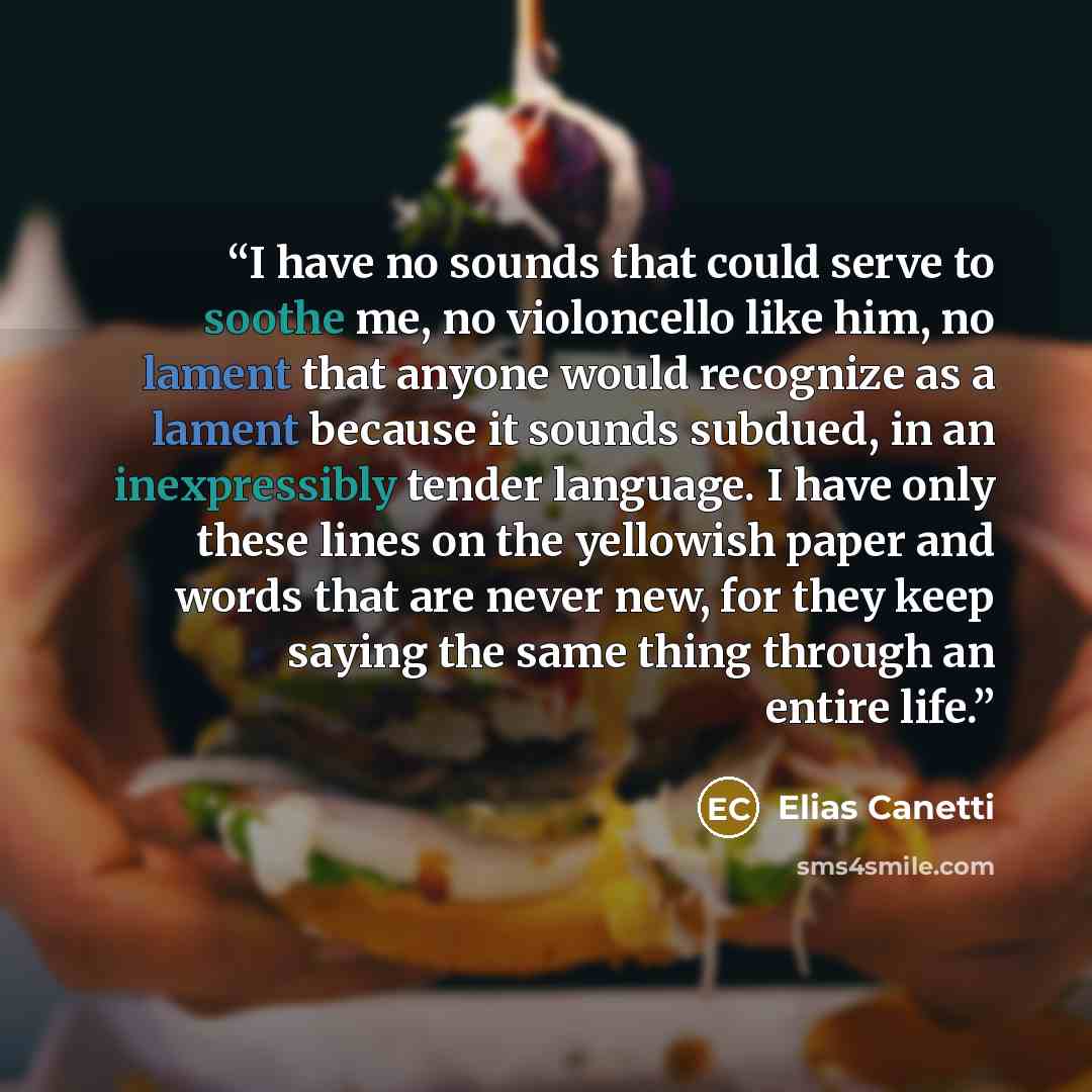 “I have no sounds that could serve to soothe me, no violoncello like him, no lament that anyone would recognize as a lament because it sounds subdued, in an inexpressibly tender language. I have only these lines on the yellowish paper and words that are never new, for they keep saying the same…” quote by Elias Canetti