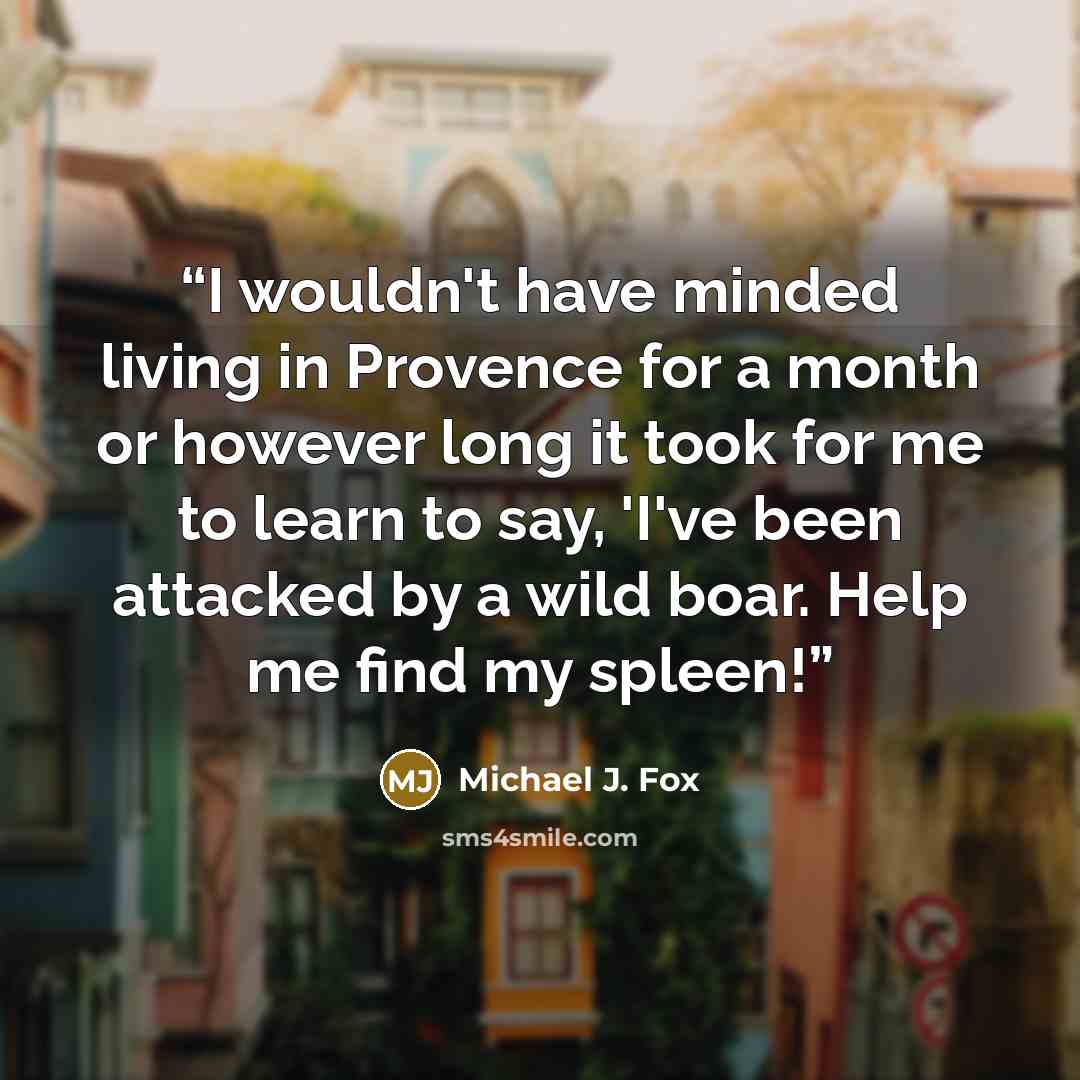 “I wouldn't have minded living in Provence for a month or however long it took for me to learn to say, 'I've been attacked by a wild boar. Help me find my spleen!” quote by Michael J. Fox