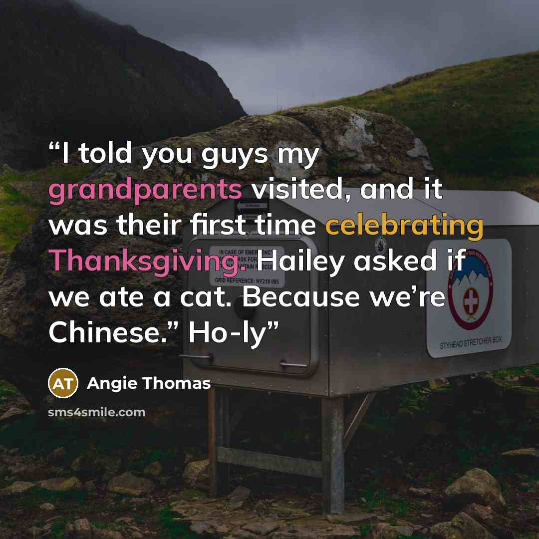 “I told you guys my grandparents visited, and it was their first time celebrating Thanksgiving. Hailey asked if we ate a cat. Because we’re Chinese.” Ho-ly” quote by Angie Thomas