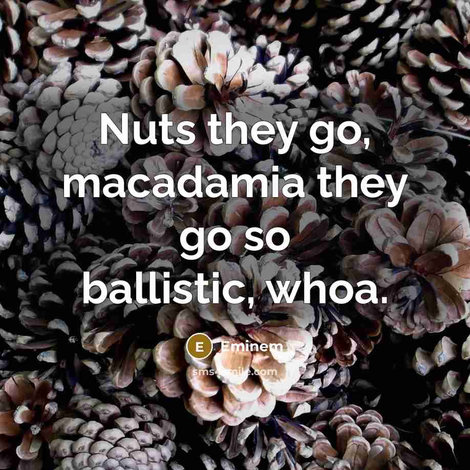 “Nuts they go, macadamia they go so ballistic, whoa.” quote by Eminem
