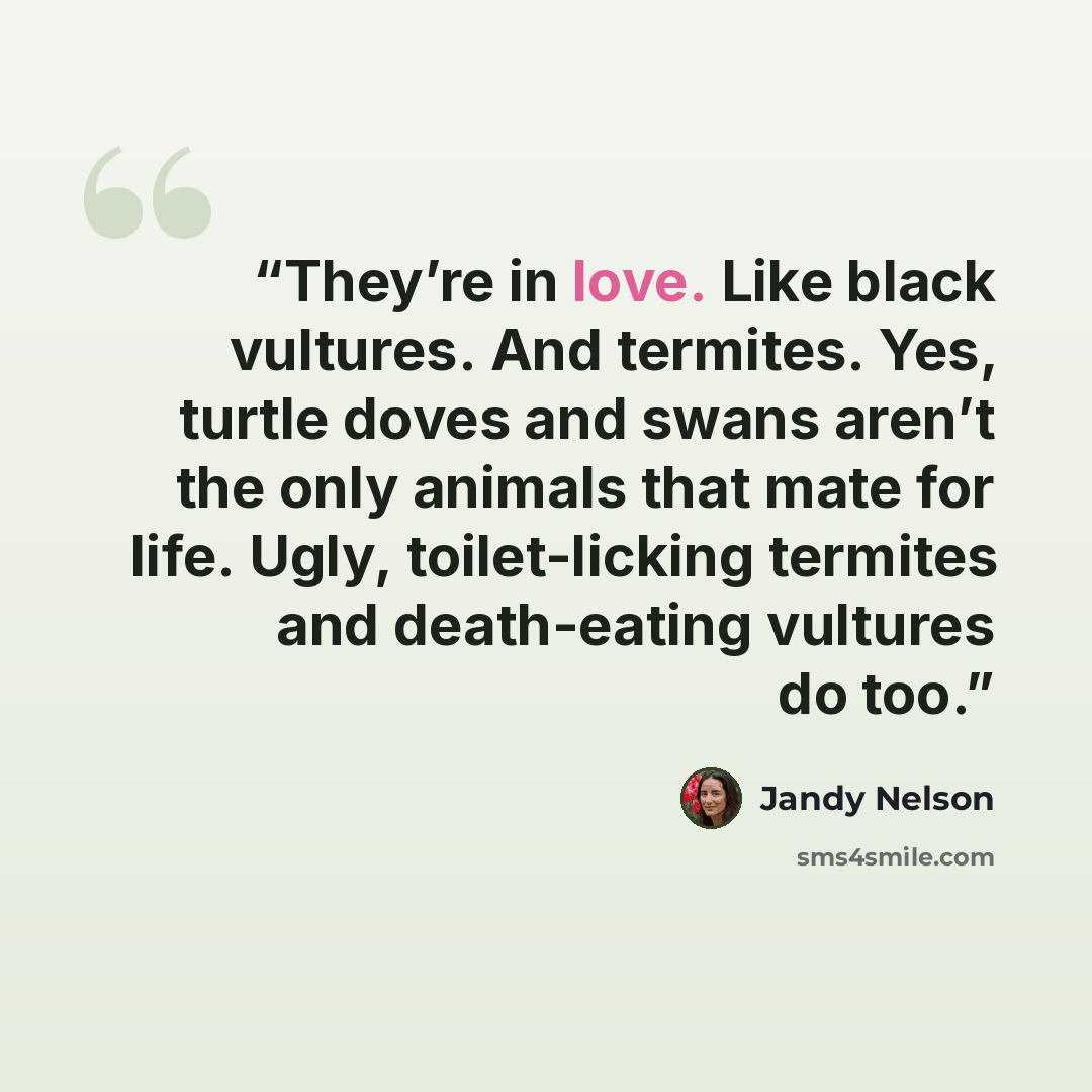 “They’re in love. Like black vultures. And termites. Yes, turtle doves and swans aren’t the only animals that mate for life. Ugly, toilet-licking termites and death-eating vultures do too.” quote by Jandy Nelson