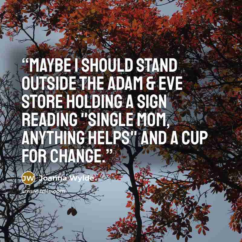 “Maybe I should stand outside the Adam & Eve store holding a sign reading "Single Mom, Anything Helps" and a cup for change.” quote by Joanna Wylde