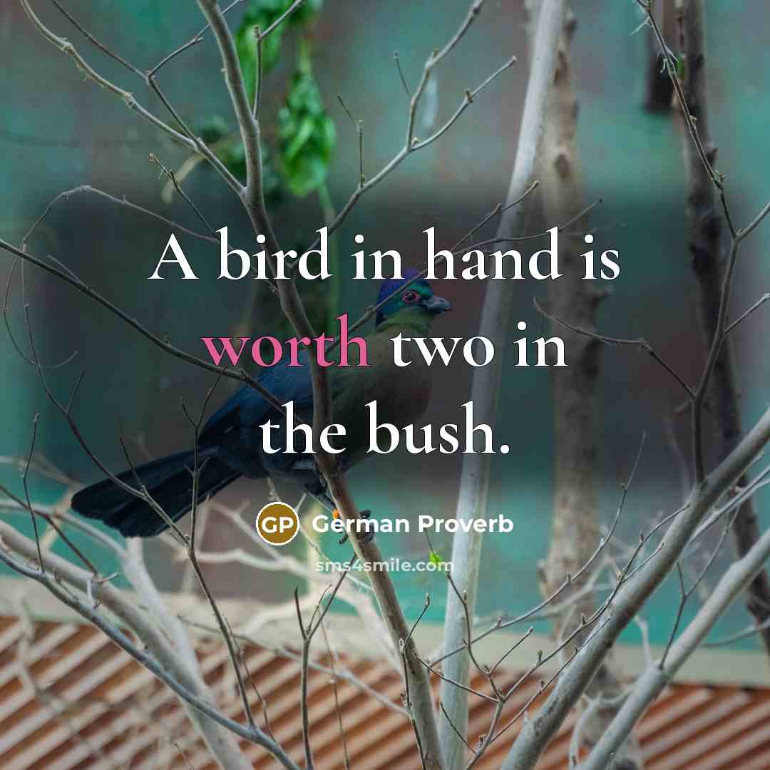 “A bird in hand is worth two in the bush.” quote by German Proverb