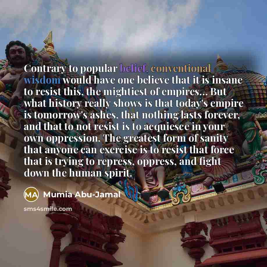 “Contrary to popular belief, conventional wisdom would have one believe that it is insane to resist this, the mightiest of empires… But what history really shows is that today's empire is tomorrow's ashes, that nothing lasts forever, and that to not resist is to acquiesce in your own oppression…” quote by Mumia Abu-Jamal