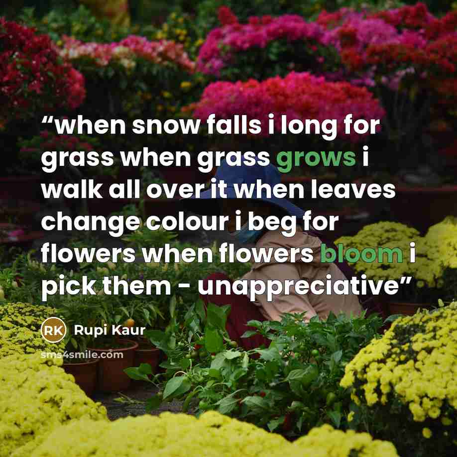 “when snow falls i long for grass when grass grows i walk all over it when leaves change colour i beg for flowers when flowers bloom i pick them - unappreciative” quote by Rupi Kaur