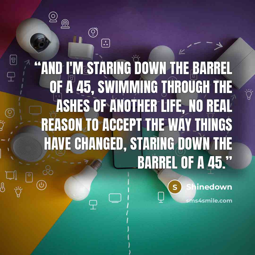 “And I'm staring down the barrel of a 45, swimming through the ashes of another life, no real reason to accept the way things have changed, staring down the barrel of a 45.” quote by Shinedown