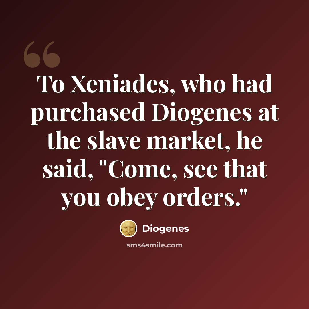 “To Xeniades, who had purchased Diogenes at the slave market, he said, "Come, see that you obey orders."” quote by Diogenes