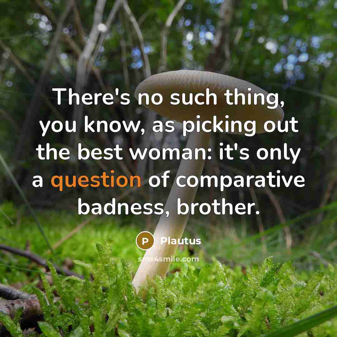 “There's no such thing, you know, as picking out the best woman: it's only a question of comparative badness, brother.” quote by Plautus