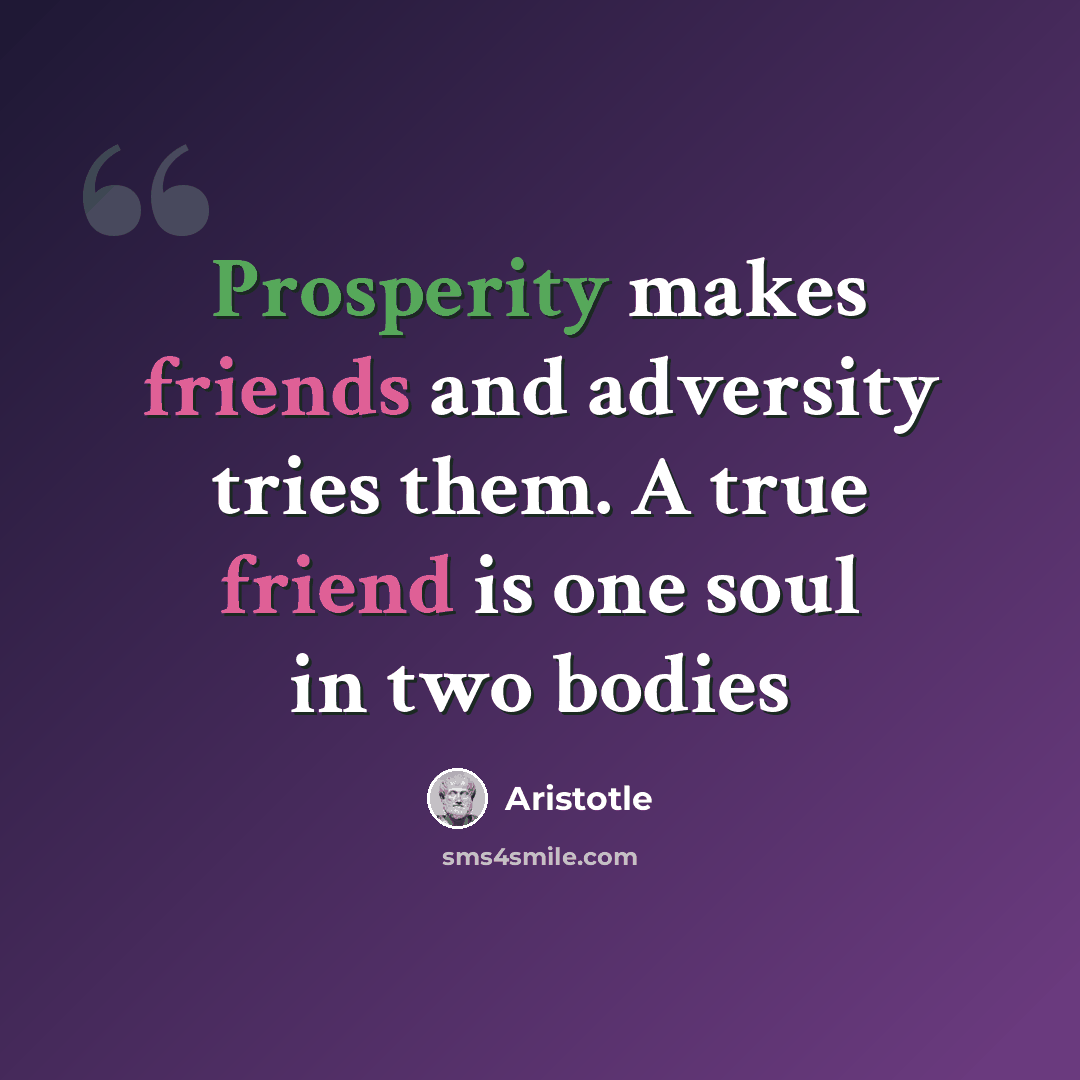 “Prosperity makes friends and adversity tries them. A true friend is one soul in two bodies” quote by Aristotle