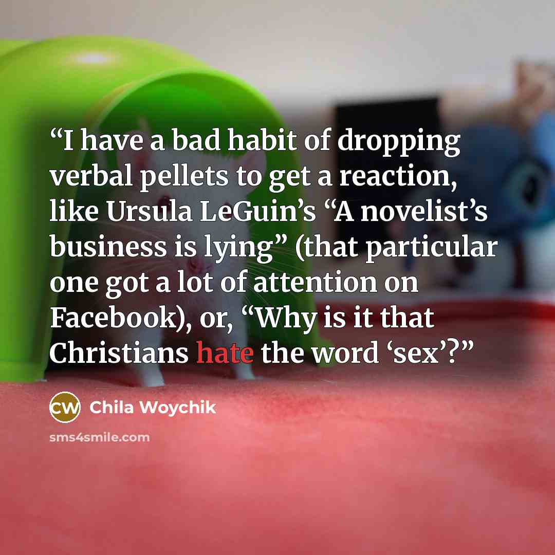 “I have a bad habit of dropping verbal pellets to get a reaction, like Ursula LeGuin’s “A novelist’s business is lying” (that particular one got a lot of attention on Facebook), or, “Why is it that Christians hate the word ‘sex’?” quote by Chila Woychik