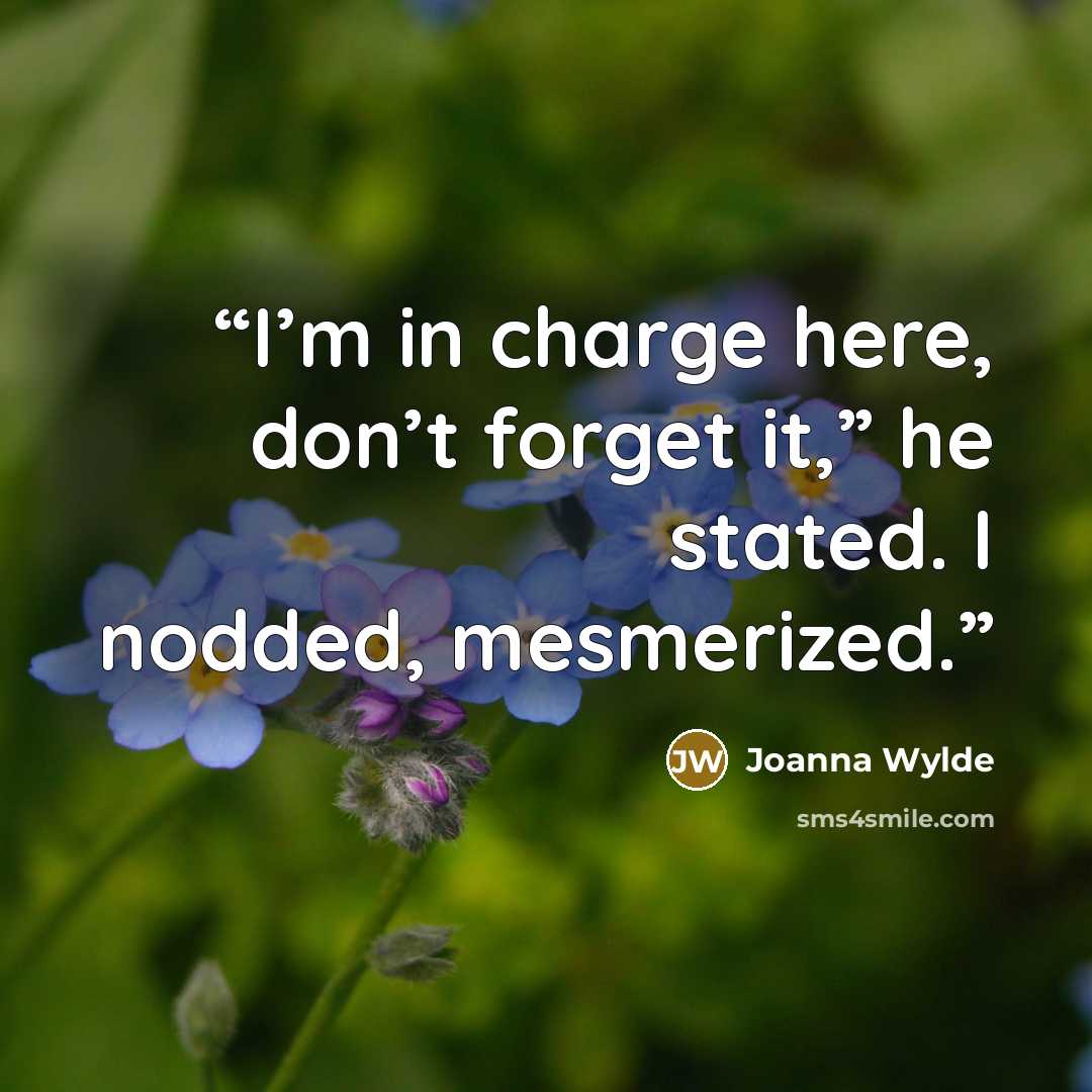 “I’m in charge here, don’t forget it,” he stated. I nodded, mesmerized.” quote by Joanna Wylde