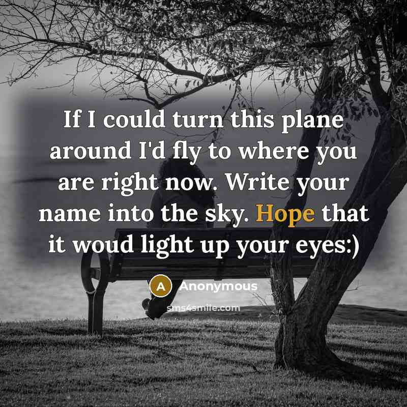 “If I could turn this plane around I'd fly to where you are right now. Write your name into the sky. Hope that it woud light up your eyes:)” quote by Anonymous