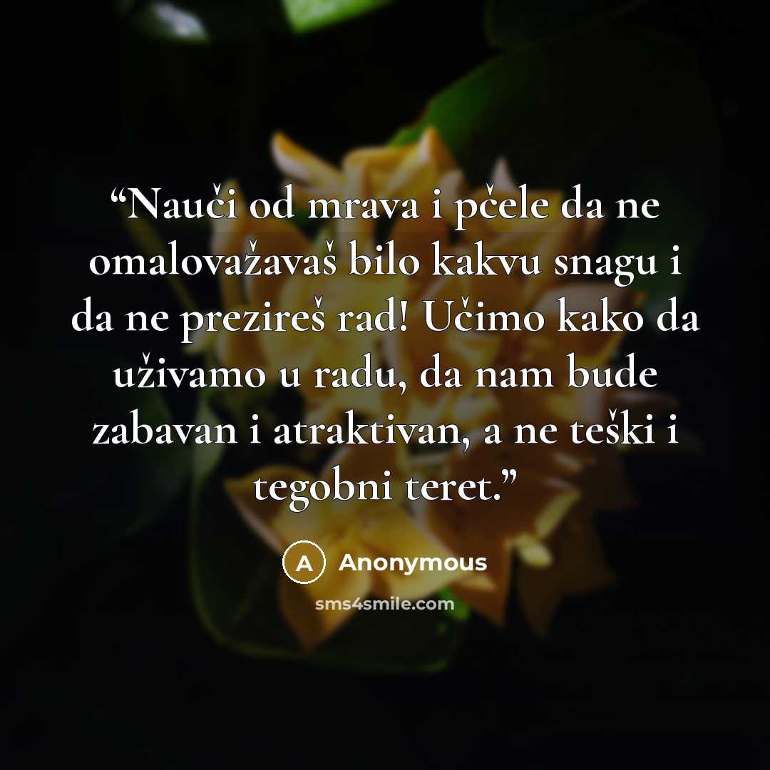 “Nauči od mrava i pčele da ne omalovažavaš bilo kakvu snagu i da ne prezireš rad! Učimo kako da uživamo u radu, da nam bude zabavan i atraktivan, a ne teški i tegobni teret.” quote by Anonymous