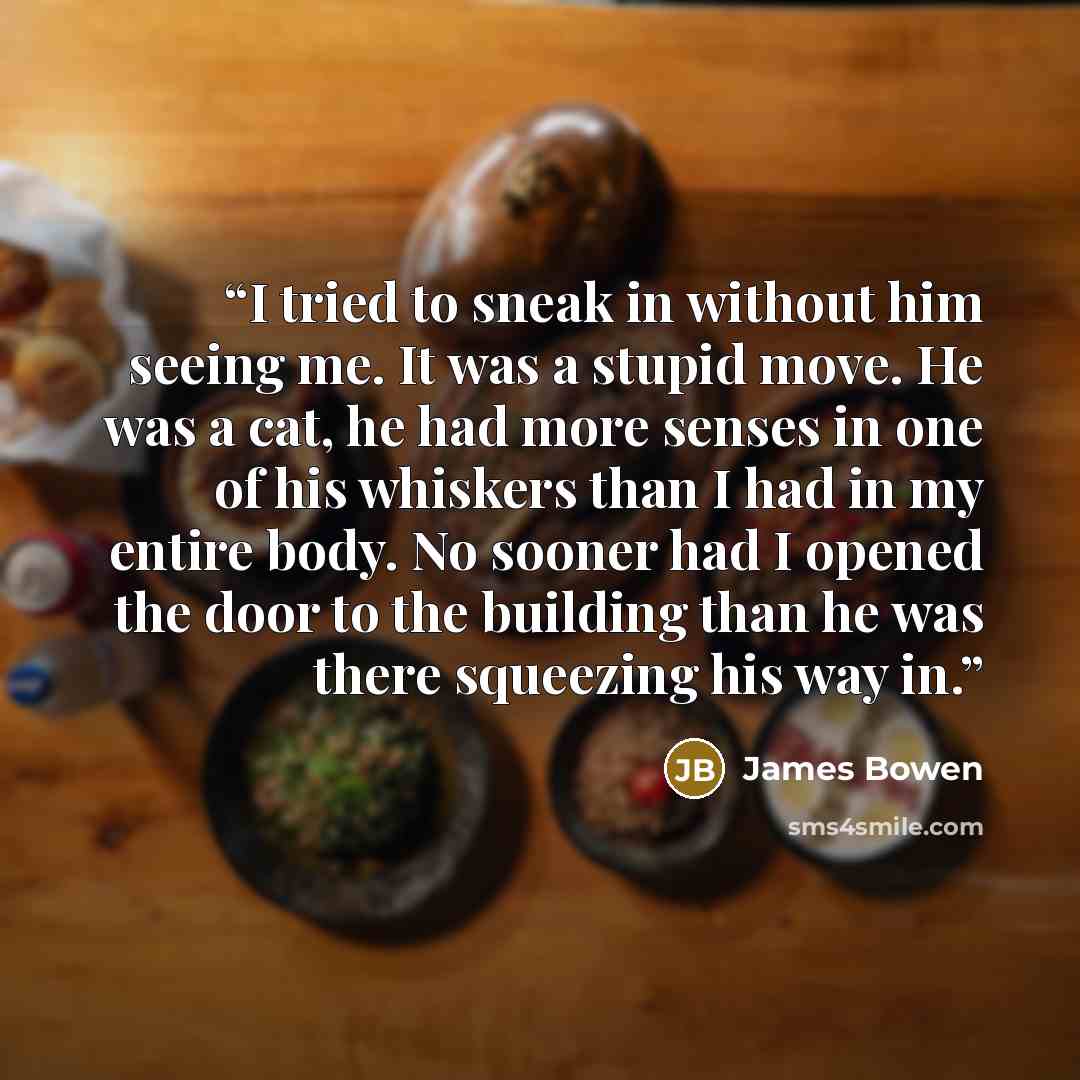“I tried to sneak in without him seeing me. It was a stupid move. He was a cat, he had more senses in one of his whiskers than I had in my entire body. No sooner had I opened the door to the building than he was there squeezing his way in.” quote by James Bowen