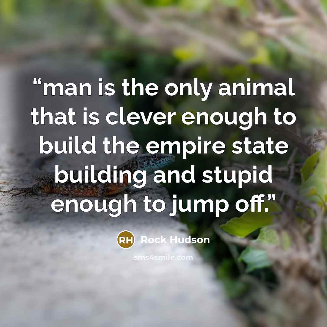 “man is the only animal that is clever enough to build the empire state building and stupid enough to jump off.” quote by Rock Hudson