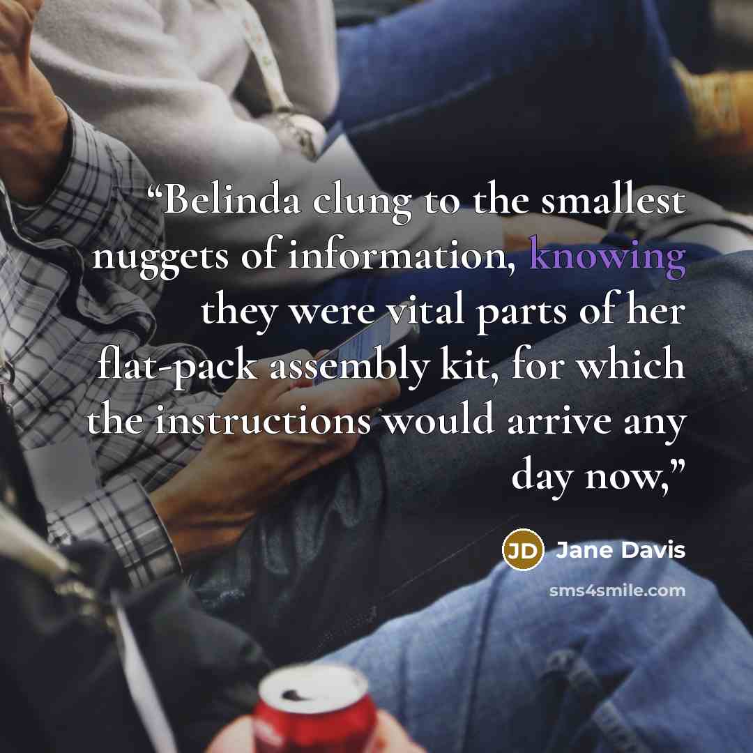 “Belinda clung to the smallest nuggets of information, knowing they were vital parts of her flat-pack assembly kit, for which the instructions would arrive any day now,” quote by Jane Davis