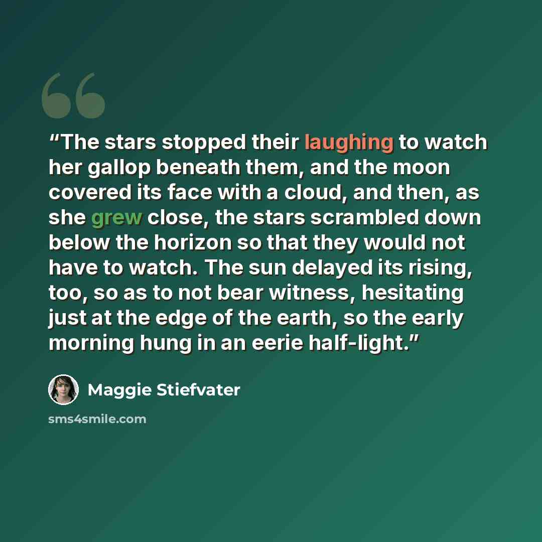 “The stars stopped their laughing to watch her gallop beneath them, and the moon covered its face with a cloud, and then, as she grew close, the stars scrambled down below the horizon so that they would not have to watch. The sun delayed its rising, too, so as to not bear witness, hesitating just…” quote by Maggie Stiefvater