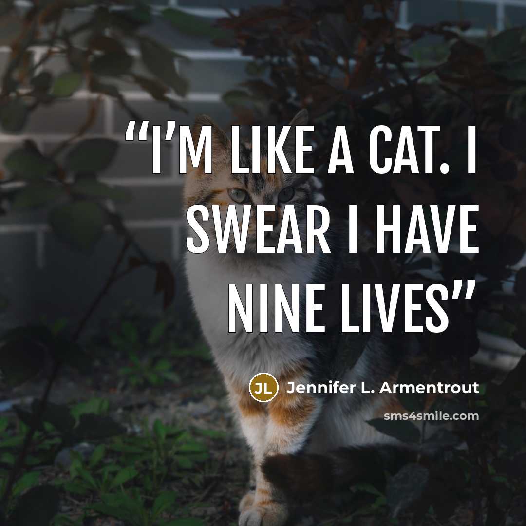 “I’m like a cat. I swear I have nine lives” quote by Jennifer L. Armentrout