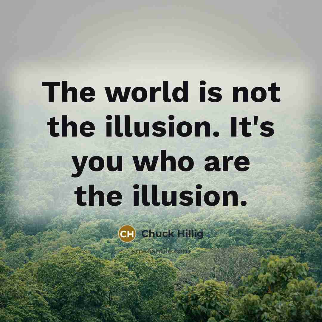 “The world is not the illusion. It's you who are the illusion.” quote by Chuck Hillig